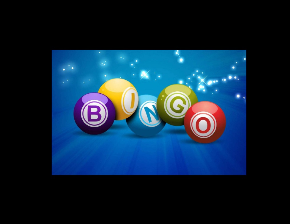 Bingo Night